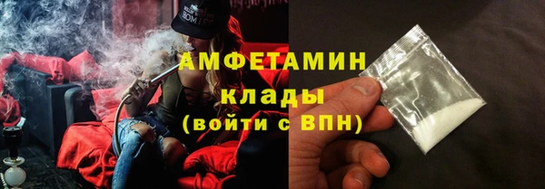 хмурый Верея