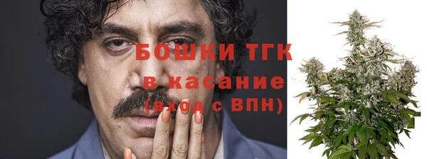 крисы Верхний Тагил