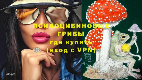 крисы Верхний Тагил