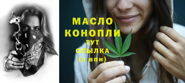 хмурый Верея