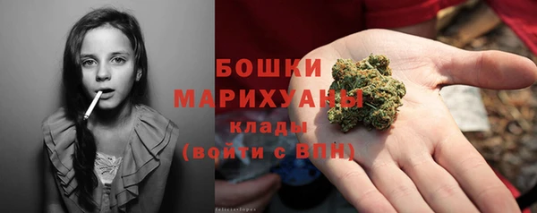 крисы Верхний Тагил