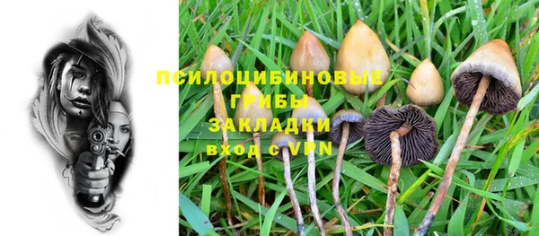 крисы Верхний Тагил