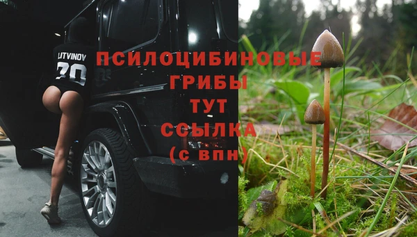 дмт Бугульма
