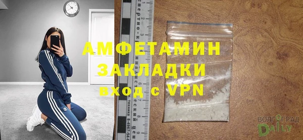 хмурый Верея