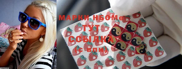 хмурый Верея