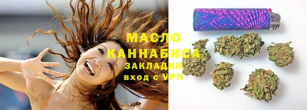 крисы Верхний Тагил