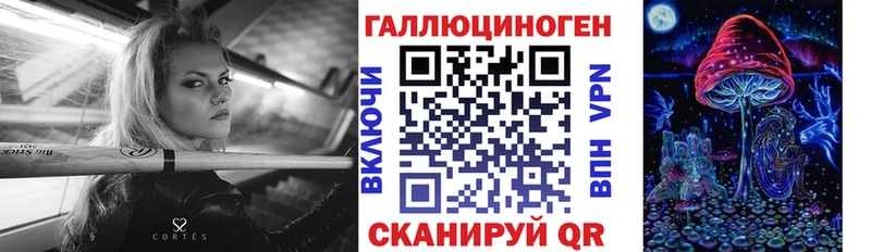 Псилоцибиновые грибы Psilocybine cubensis Курск